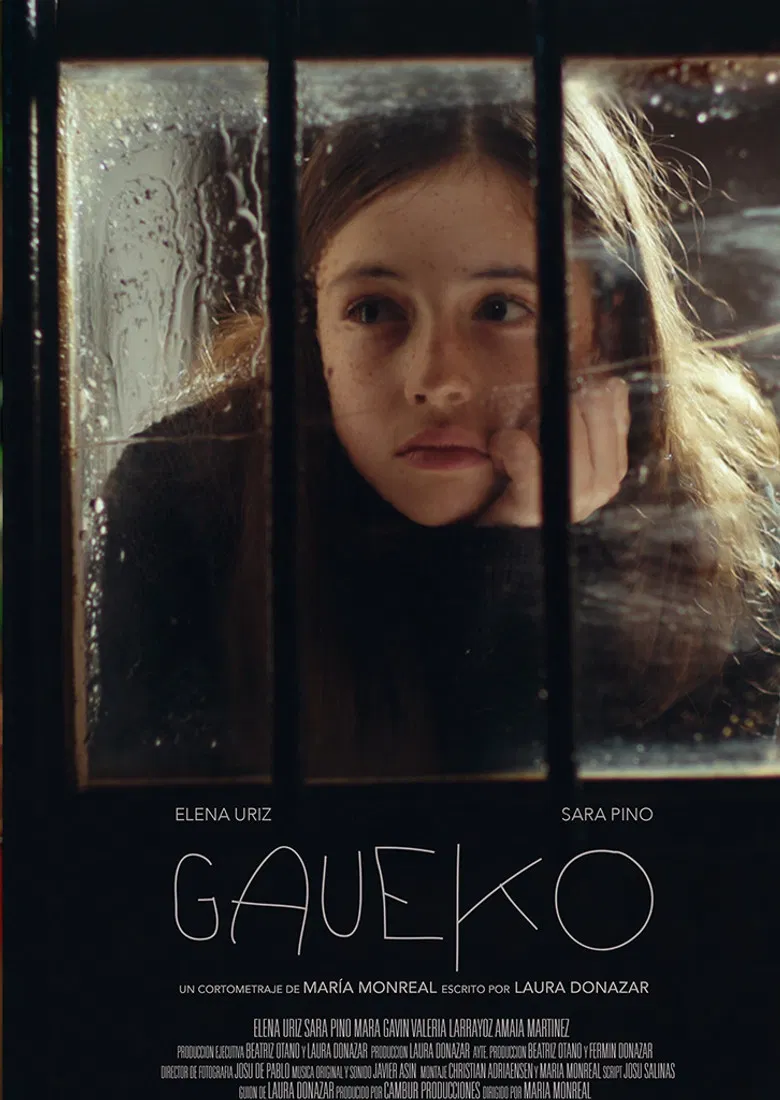 Gaueko poster background