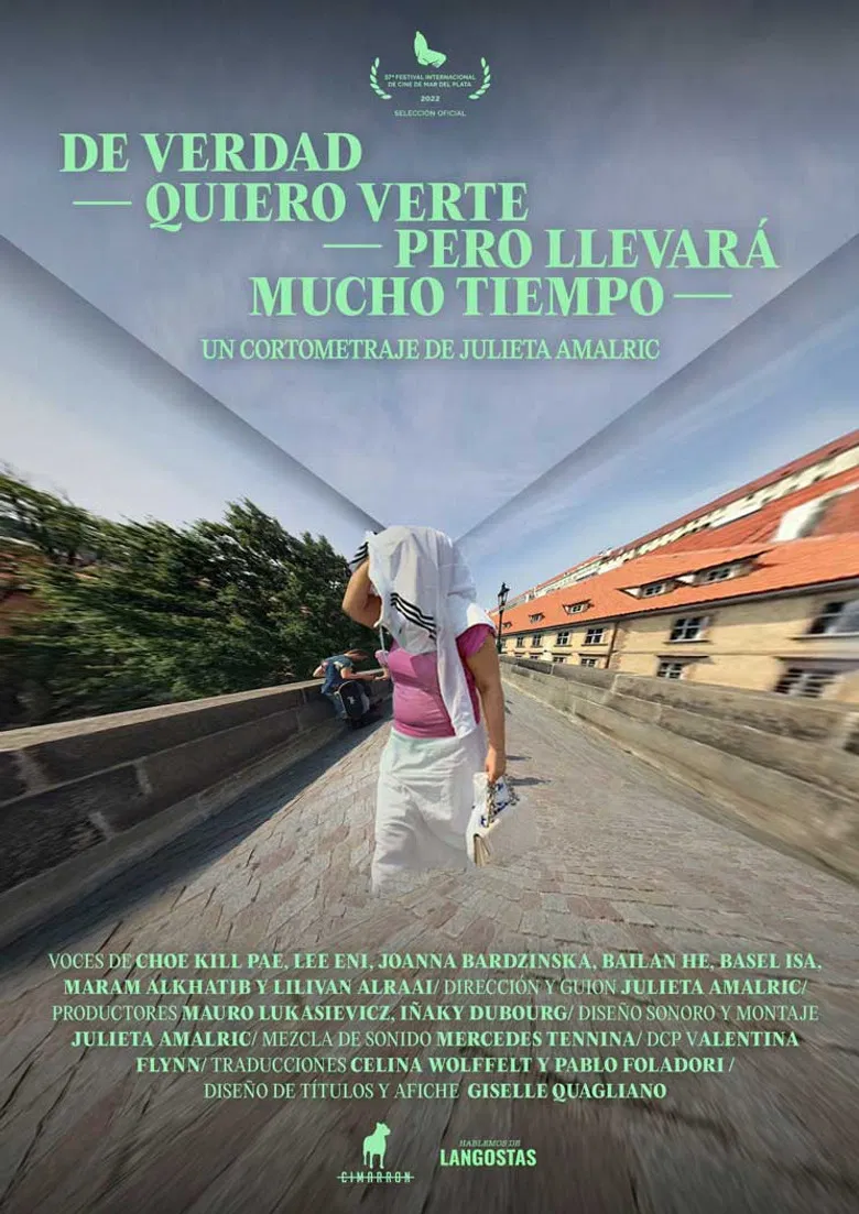 I Really Want to See You But It Will Take Too Long poster background