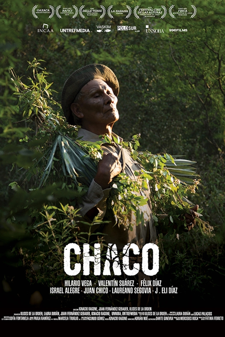 Chaco poster background