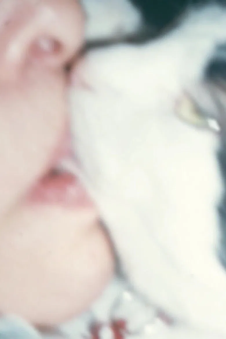 Mysteries of the Pussies poster background