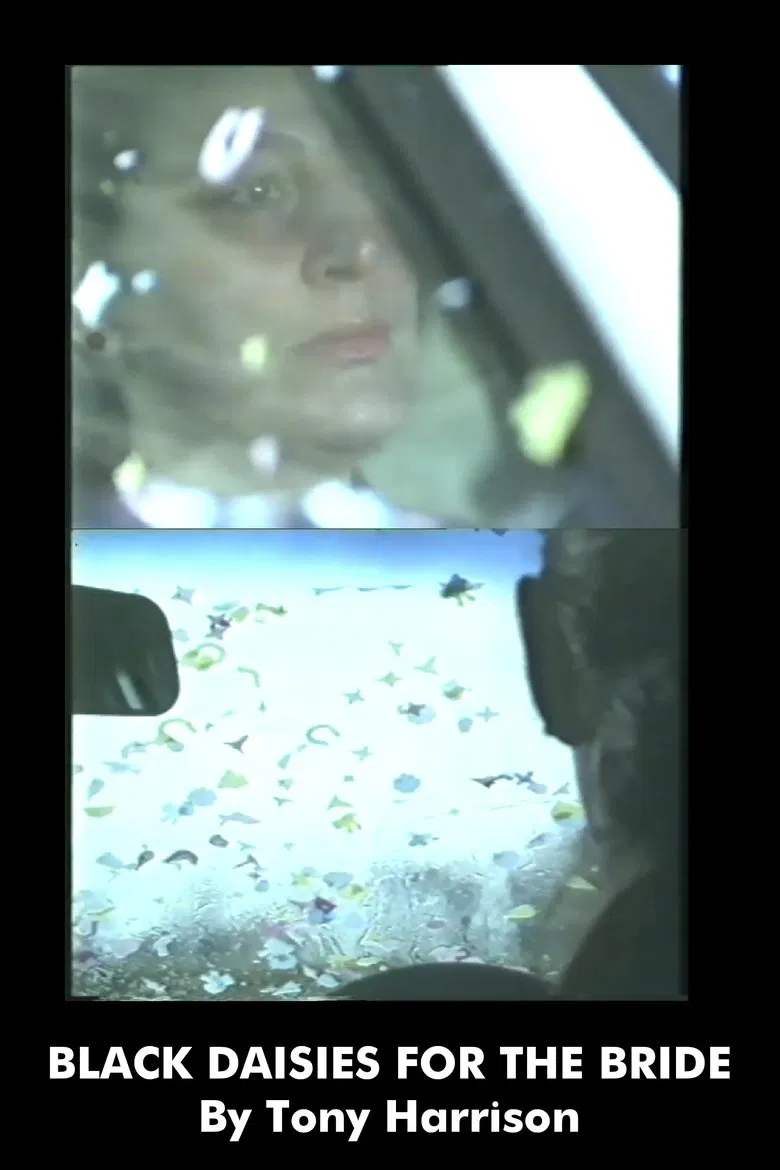 Black Daisies For The Bride poster background