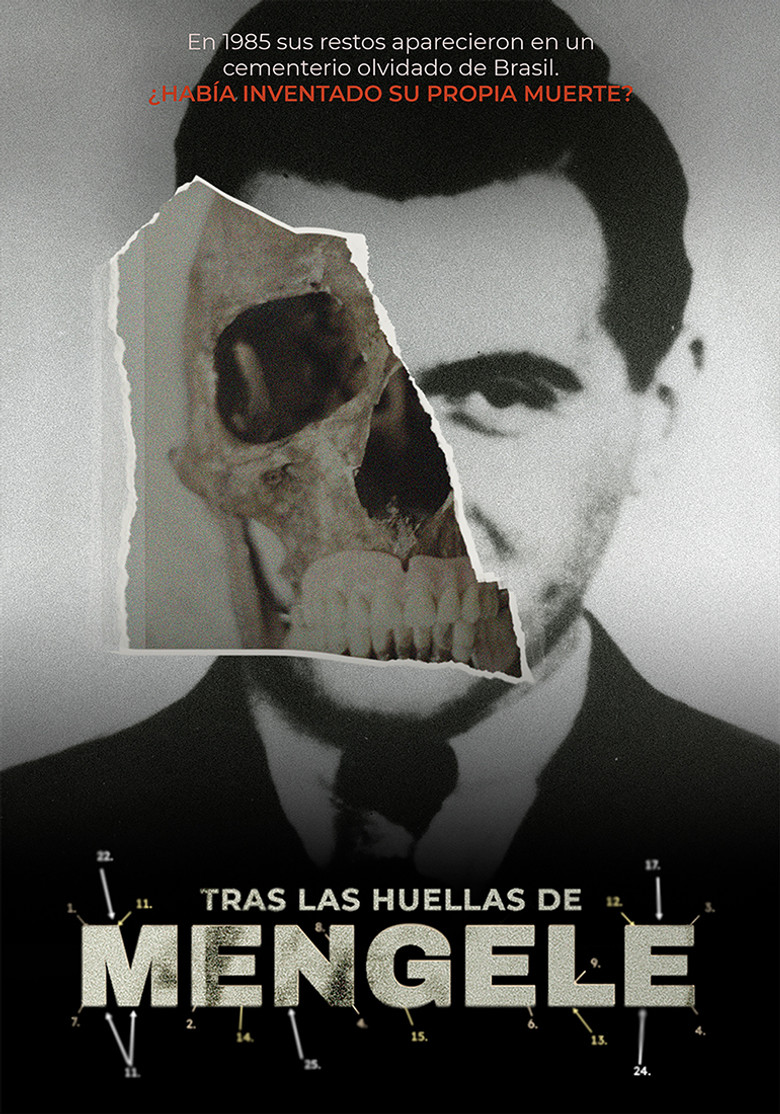 Tras las huellas de Mengele poster background