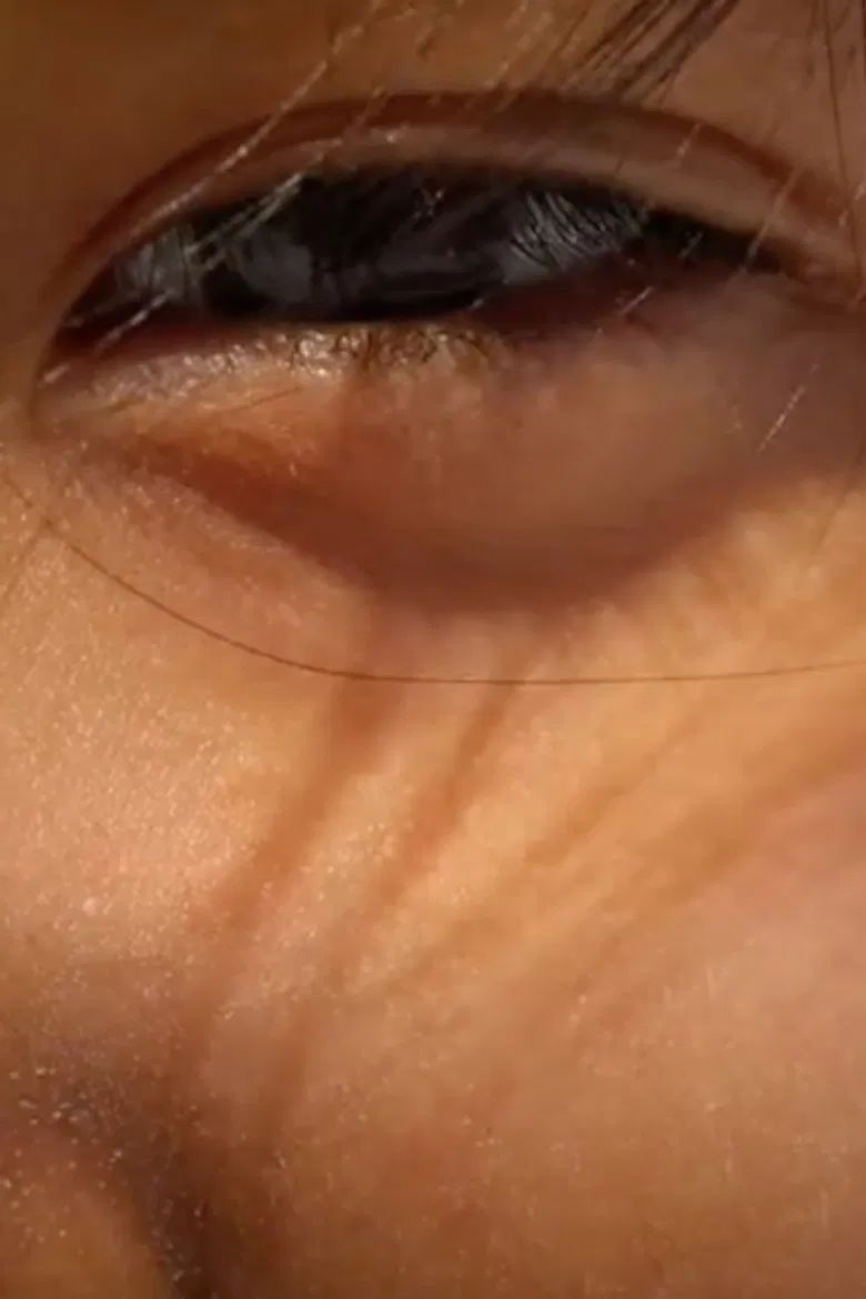 My Culture poster background