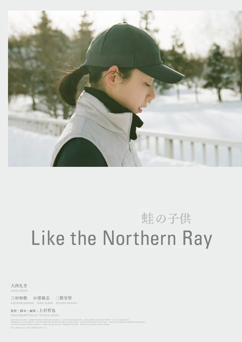 Like the Northern Ray poster background