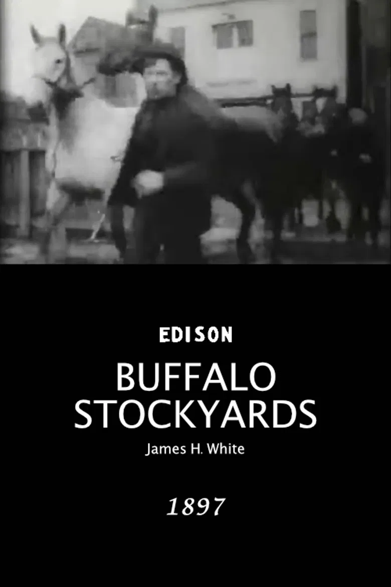 Buffalo Stockyards poster background