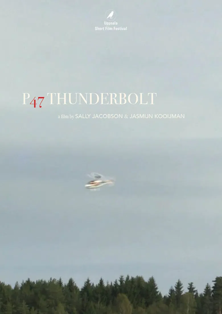 P47 Thunderbolt poster background