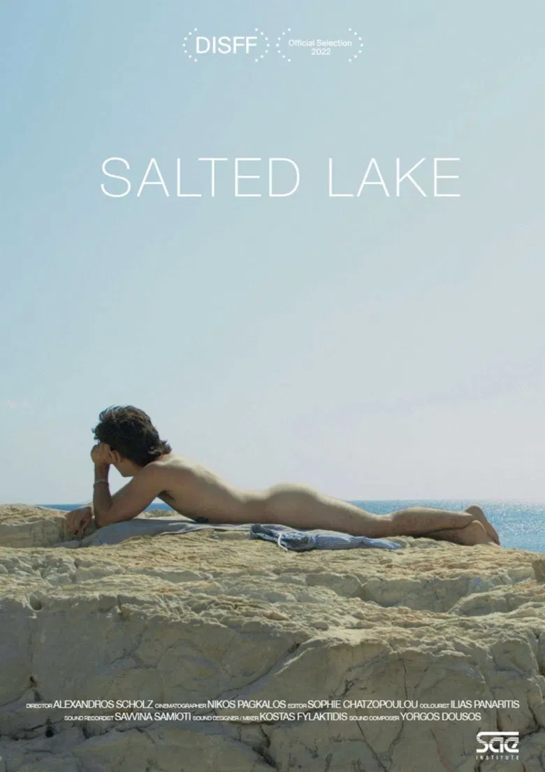 Salted Lake poster background