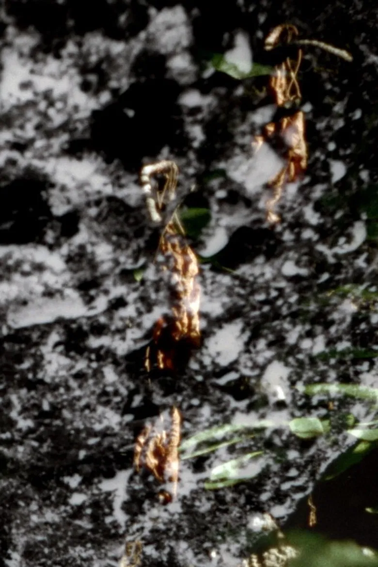 La Colle Falls poster background