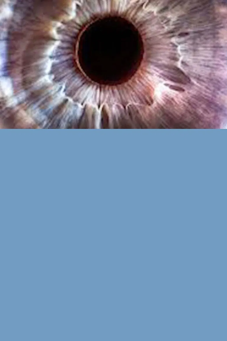 Bigger on the Inside poster background