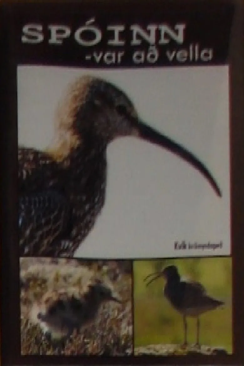 Spóinn var að vella poster background