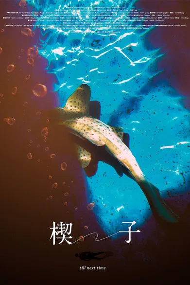 till next time poster background