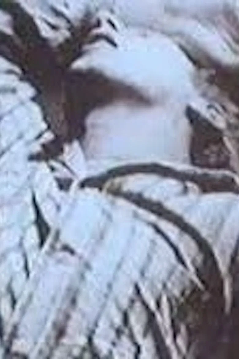 L.S.D. poster background