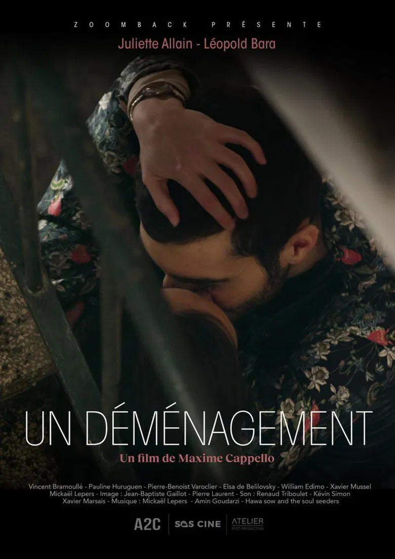 Un déménagement poster background