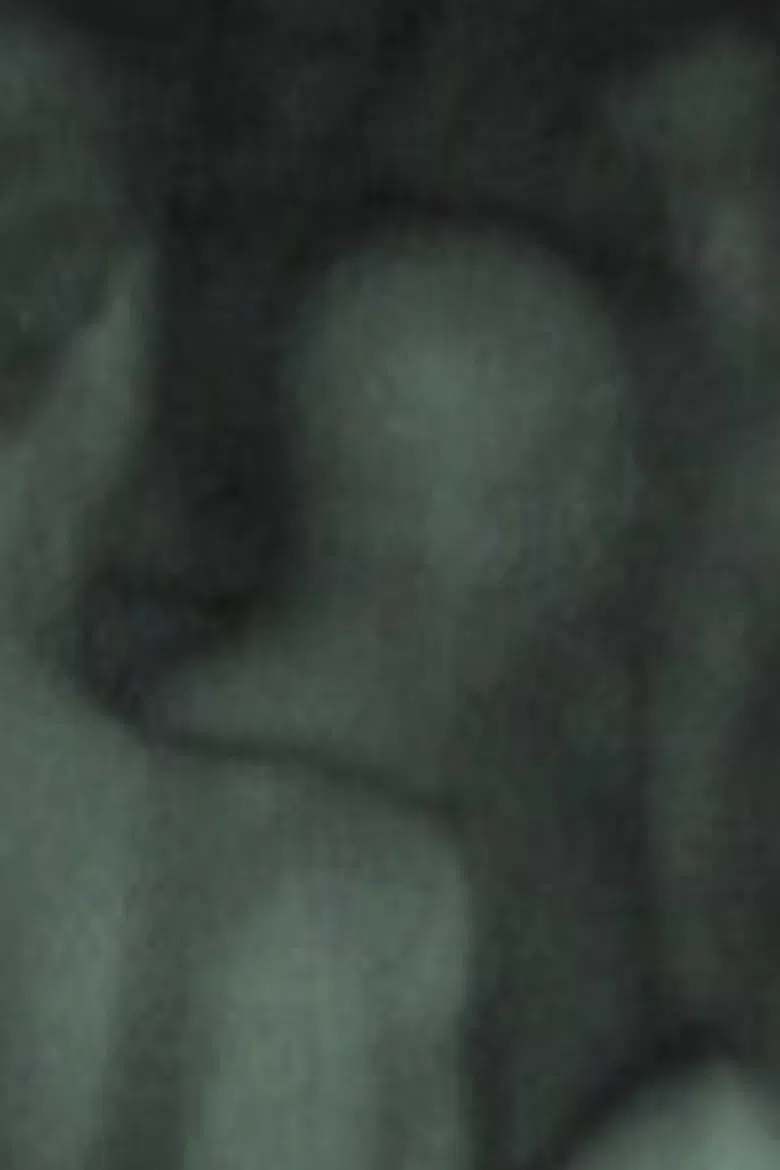 Black Room Revealed poster background