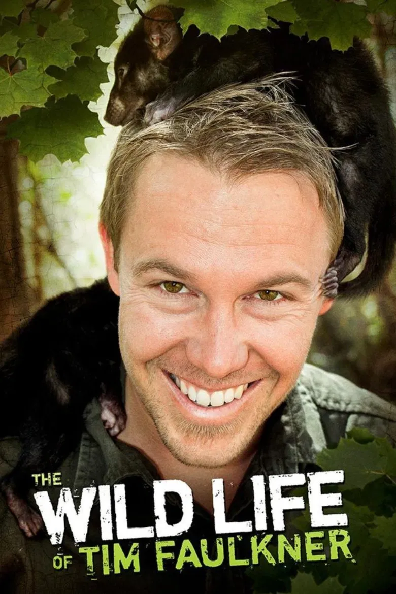 The Wild Life of Tim Faulkner poster background