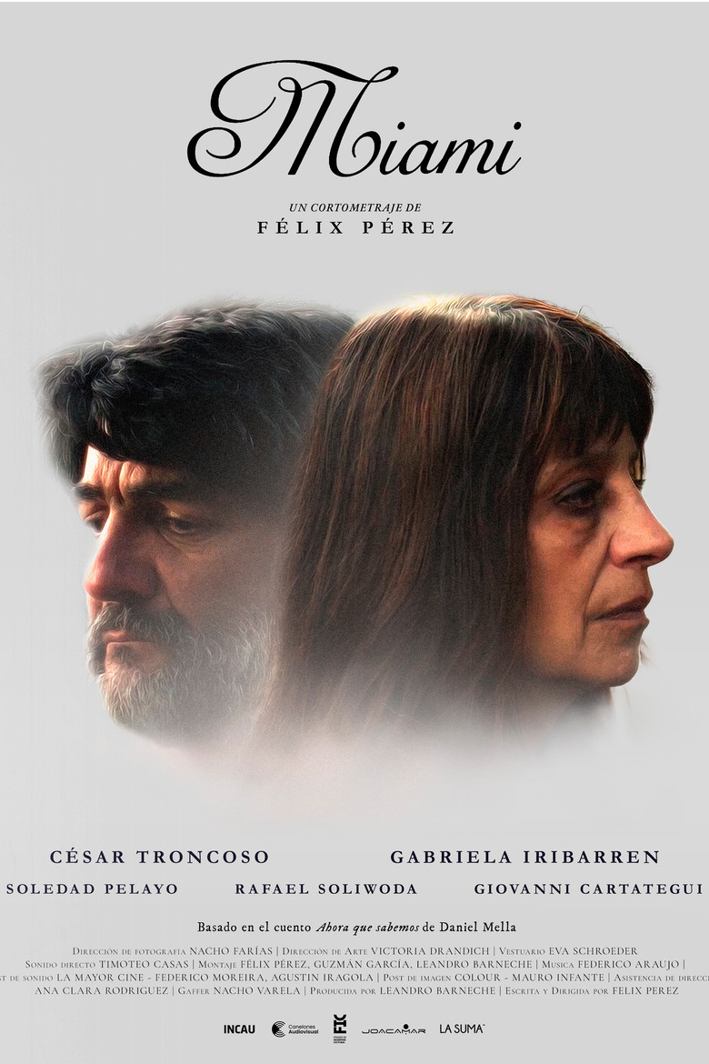 Miami poster background