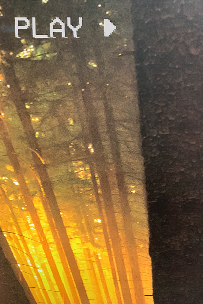 In The Forest poster background