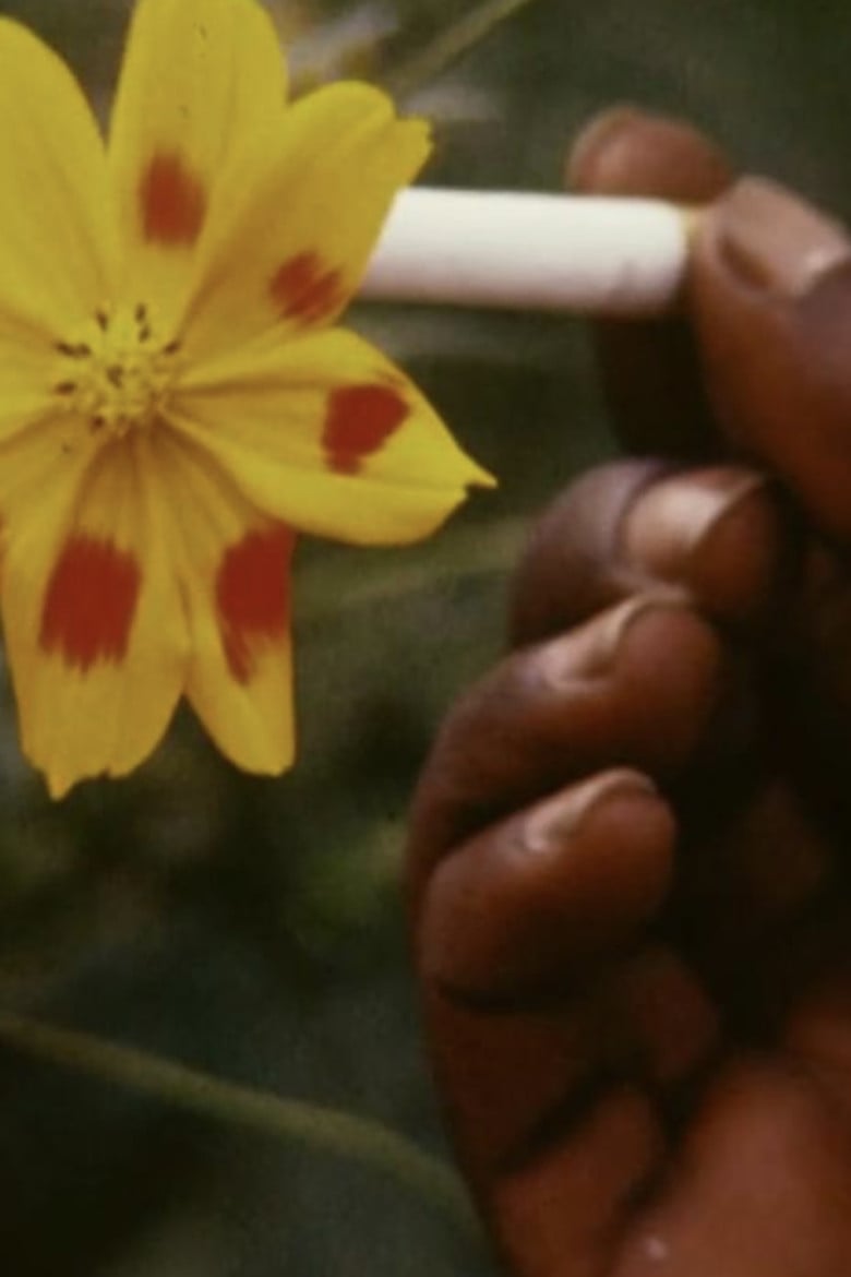 Bruciare poster background