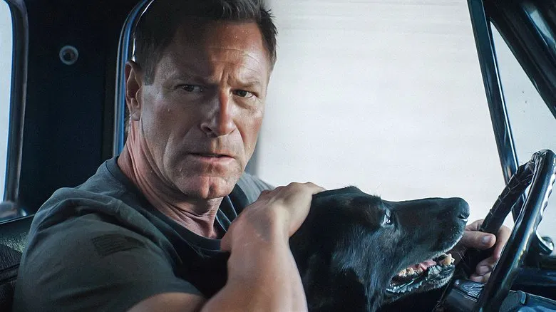 Argos the K-9 preparing for action