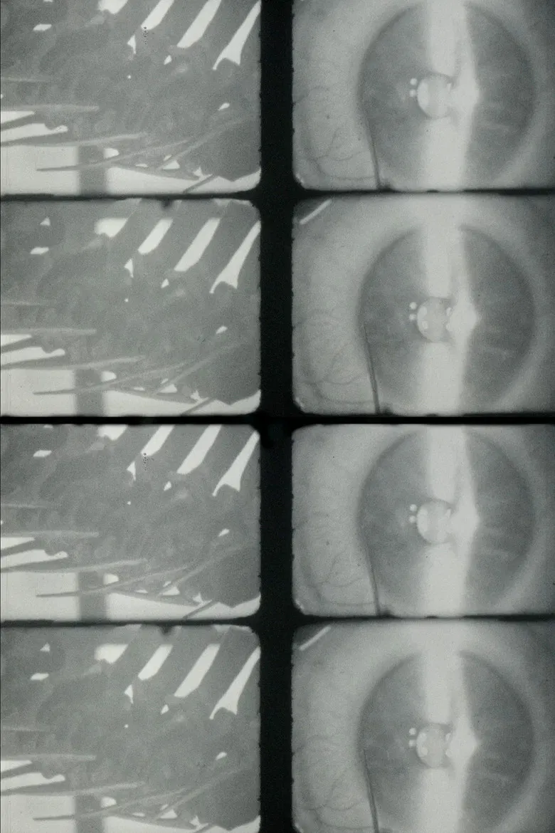 It's under the flesh where you are tender poster background