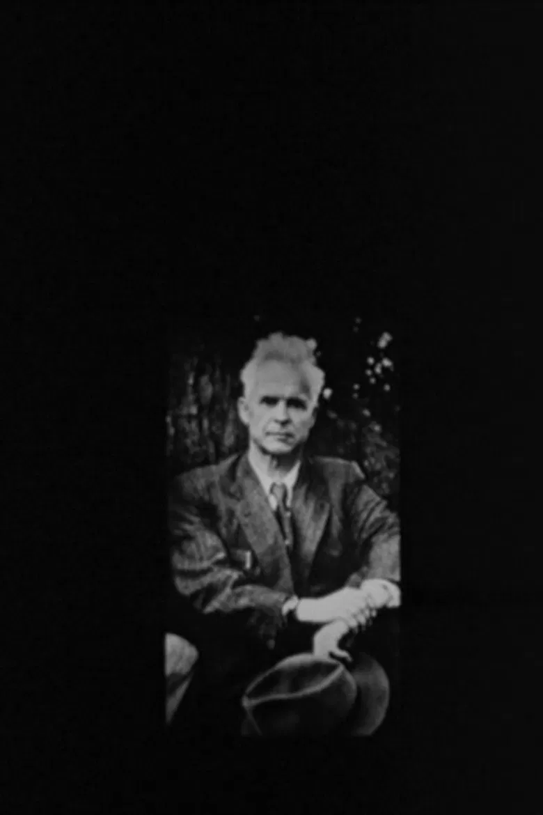 Oleksandr Dovzhenko. The Contemplations After Life poster background