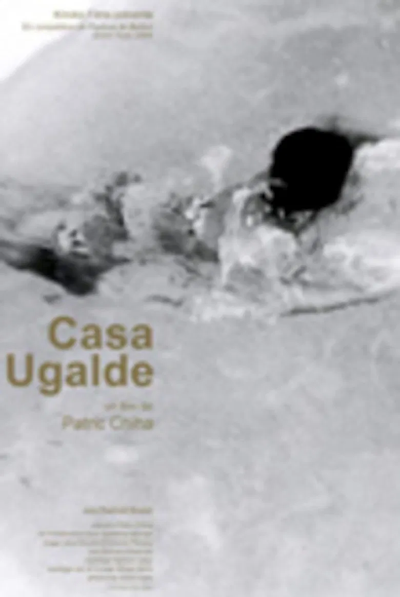 Casa Ugalde poster background