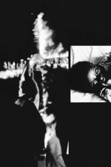 Tiger Child poster background