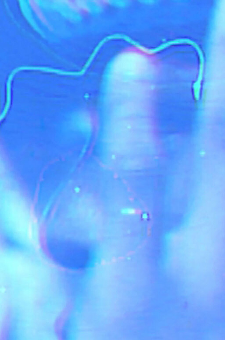 Here is the Imagination of the Black Radical poster background