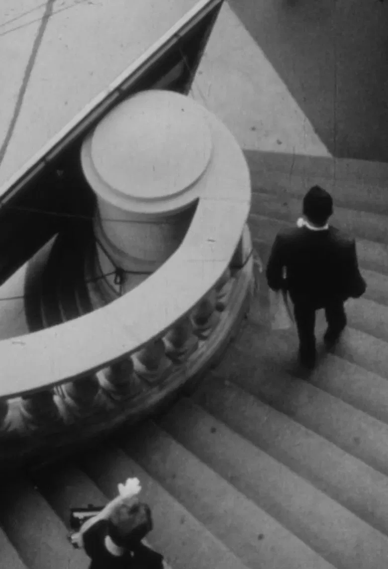 Venus and Adonis poster background