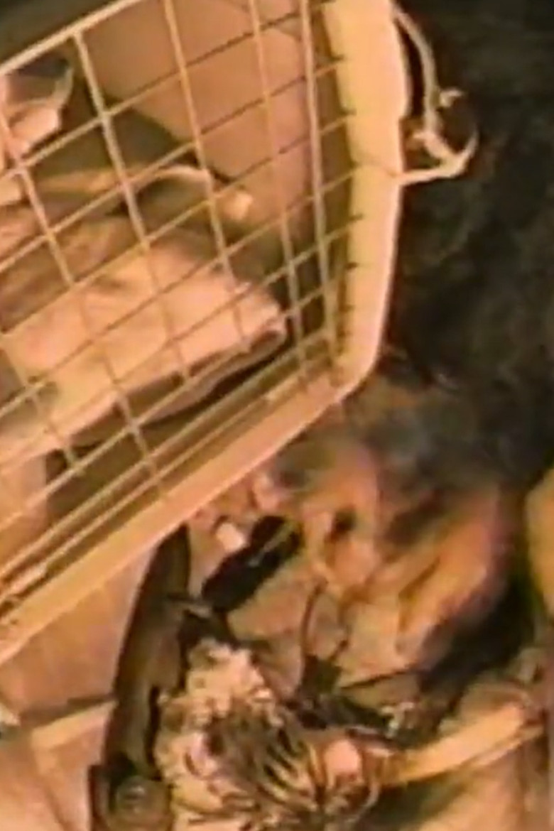 Mr. Withers' Apartment poster background