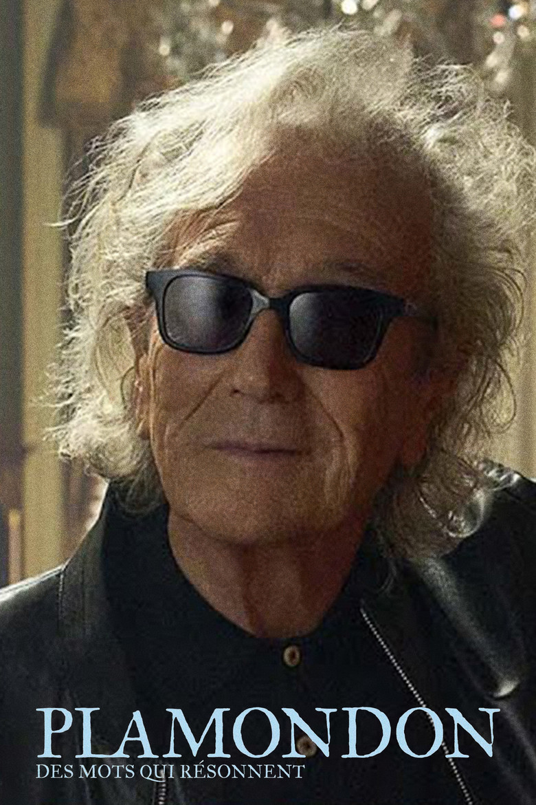 Plamondon: des mots qui résonnent poster background