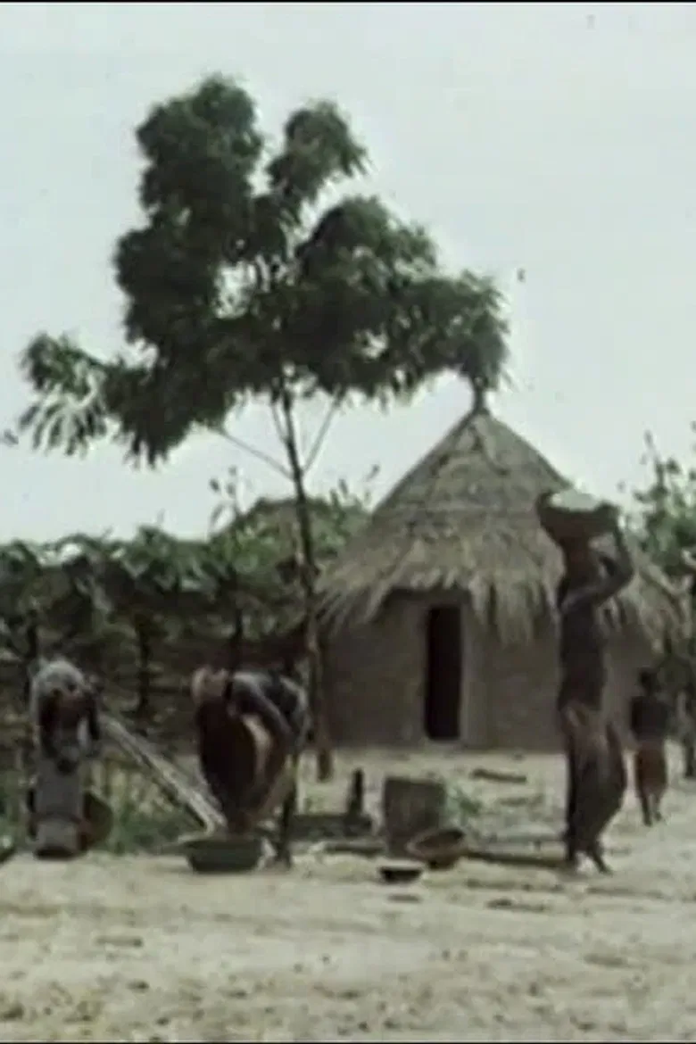 Subsister en savane poster background