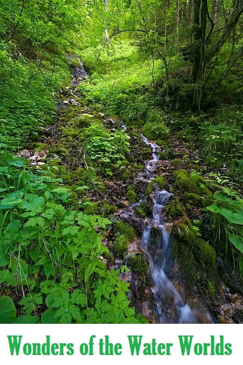 Wonders of the Water Worlds poster background