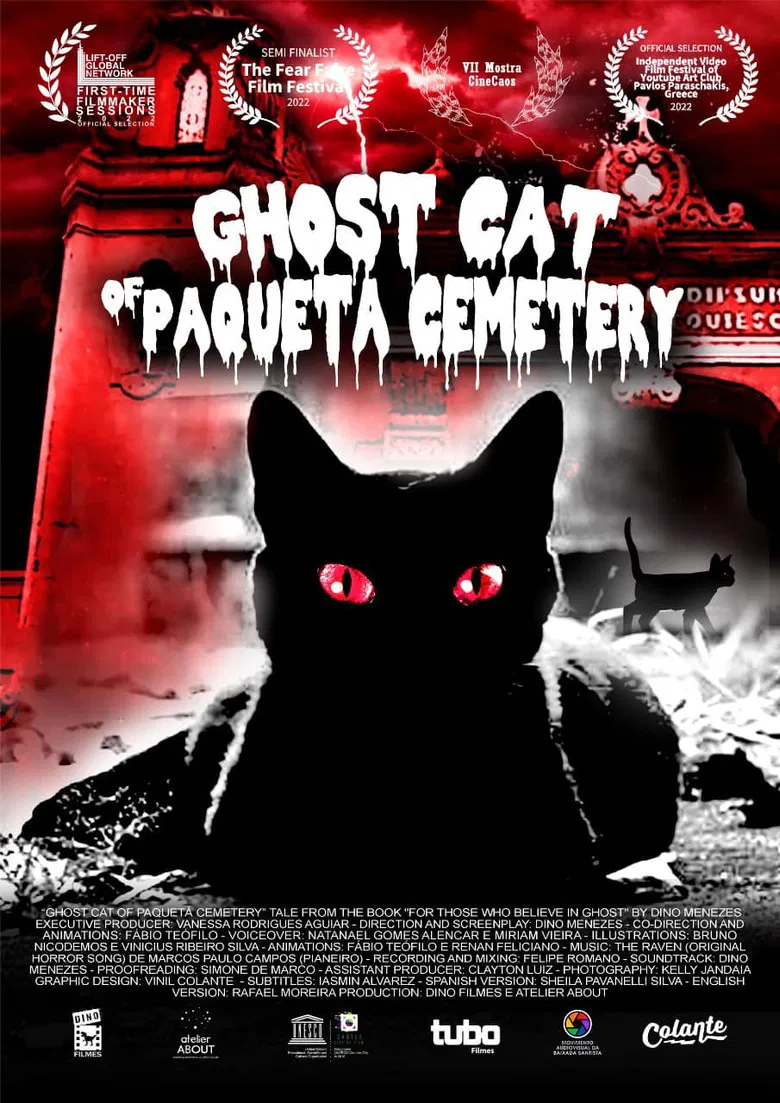 O Gato Fantasma do Cemitério do Paquetá poster background