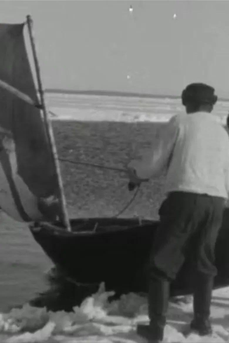 Ülgepüüdäjäd poster background