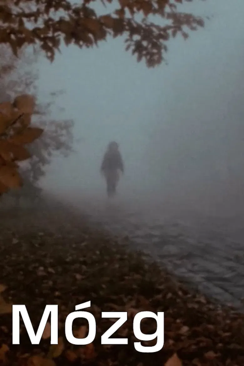 Mózg poster background