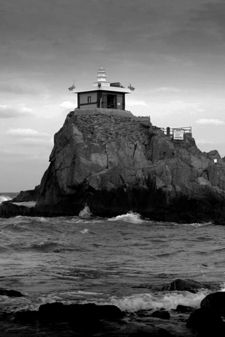 Transmigration: The Turtle and the Women poster background