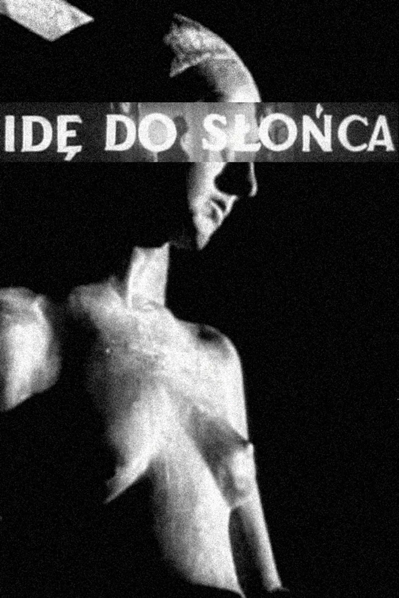 I Walk in the Sun poster background