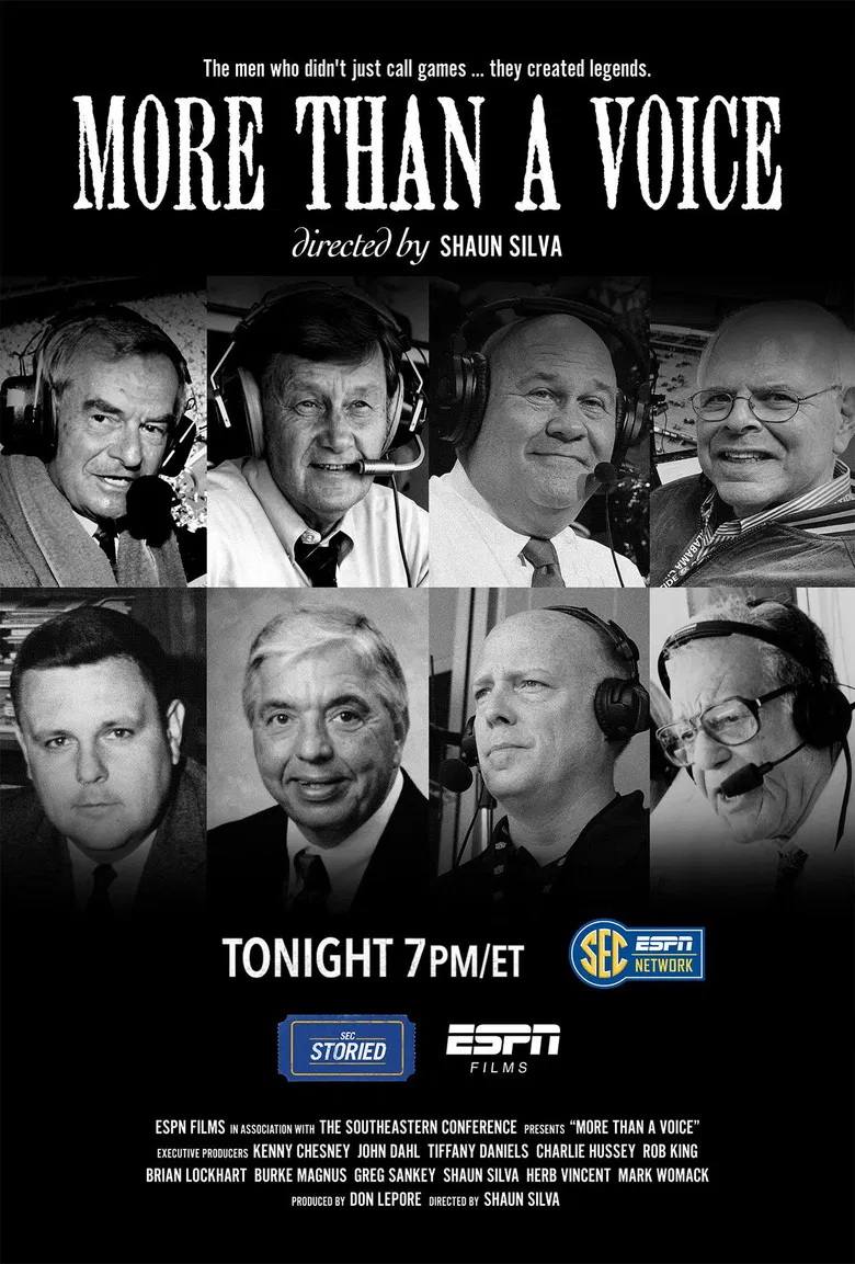 More Than a Voice poster background