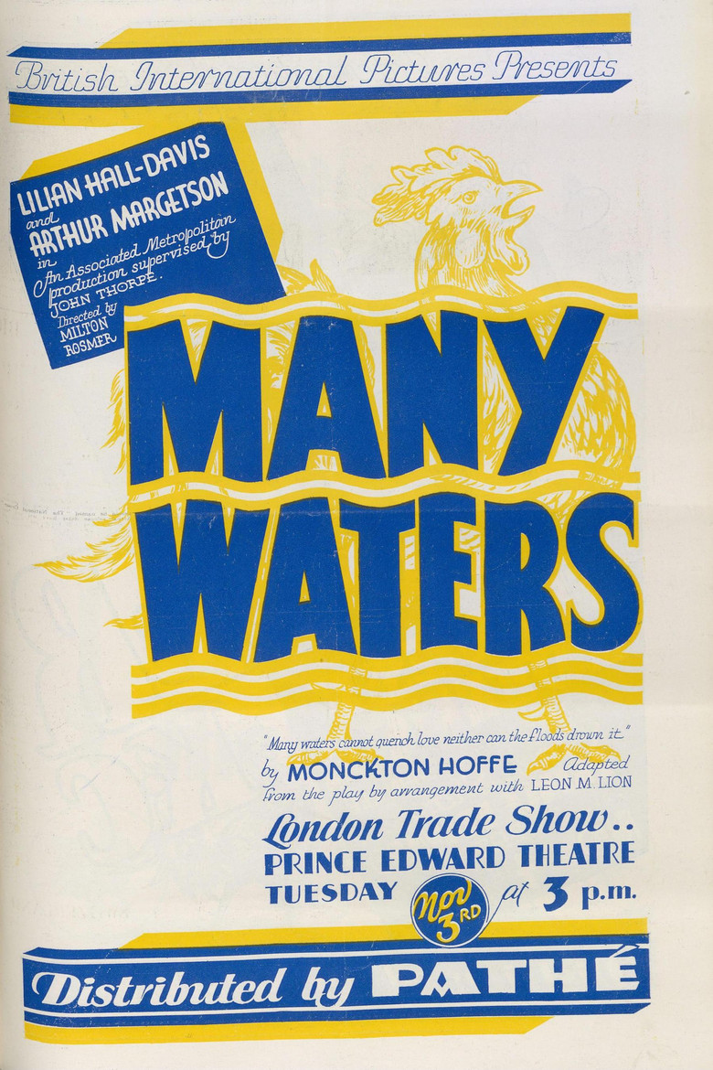 Many Waters poster background