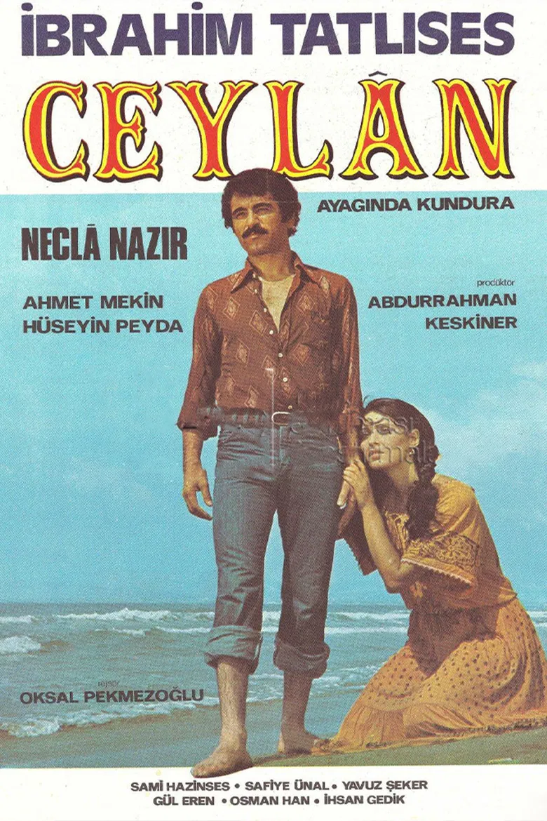 Ceylan poster background