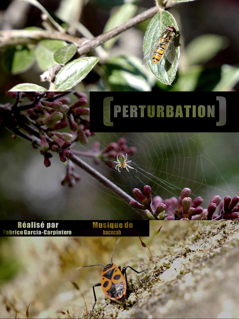 Perturbation poster background