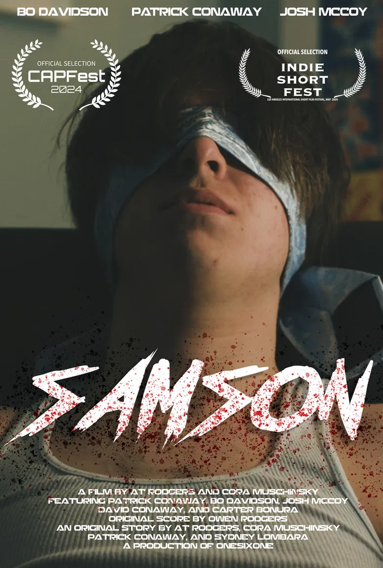 SAM$ON poster background