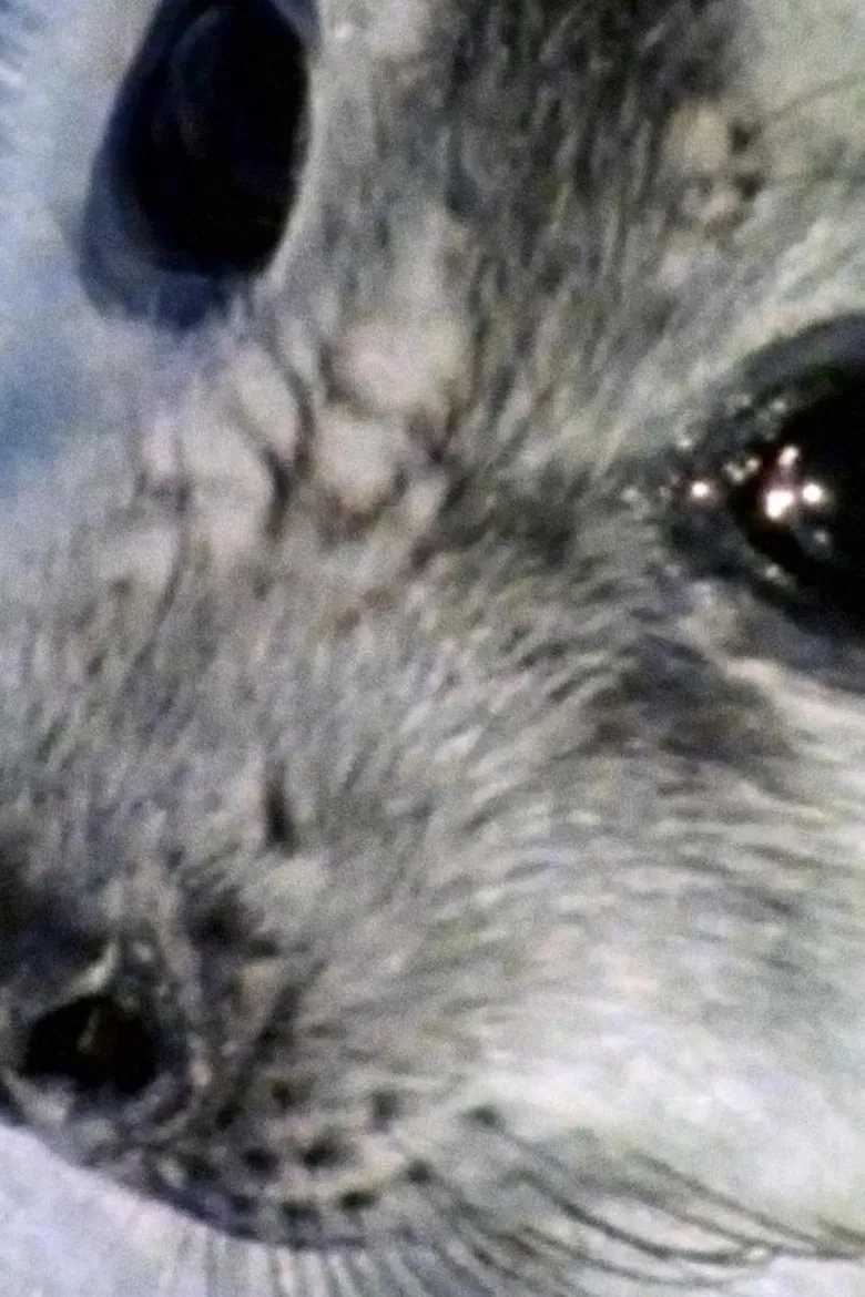 Life on Ice poster background