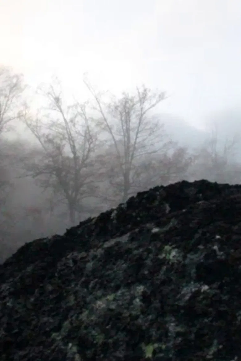 O Rio poster background