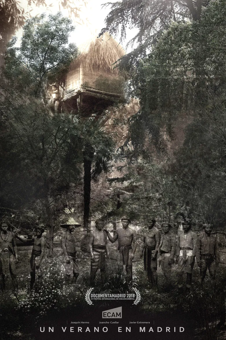 A Summer in Madrid poster background