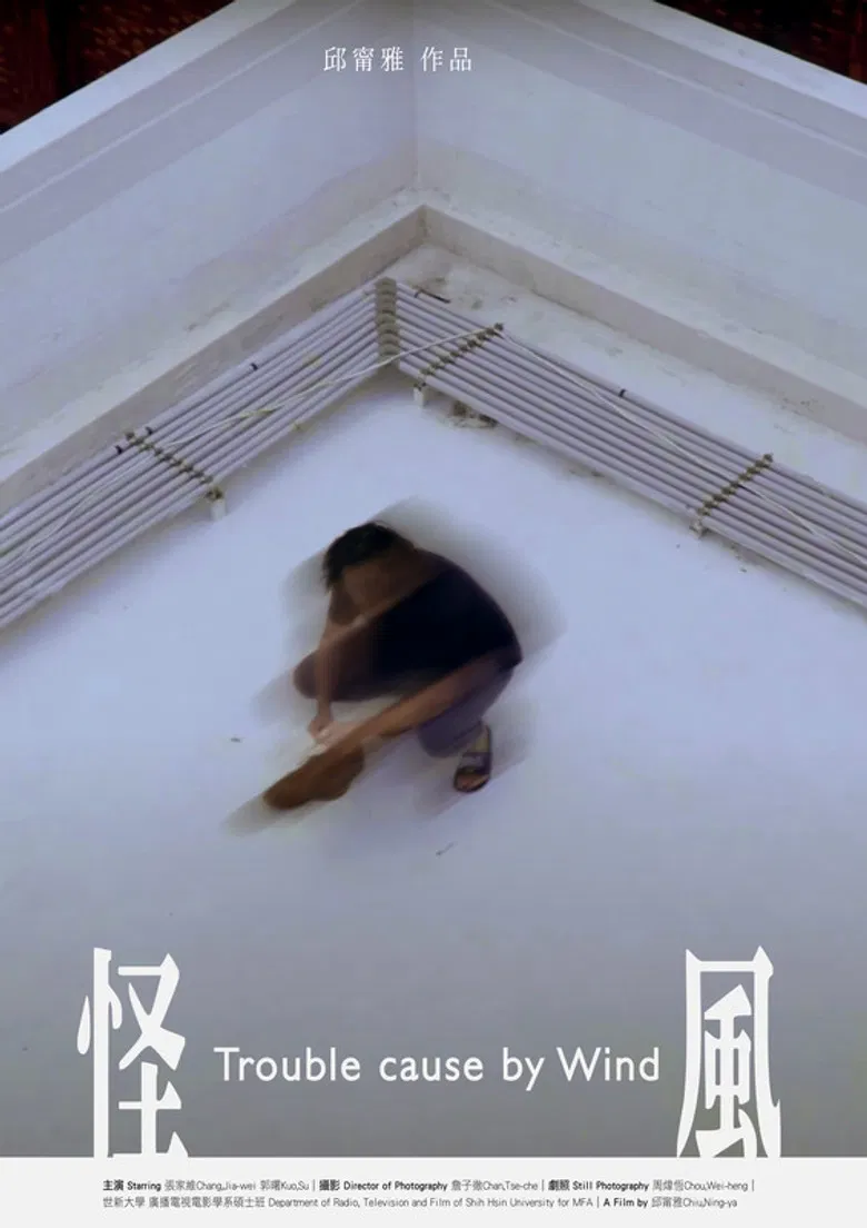 Trouble Cause By Wind poster background