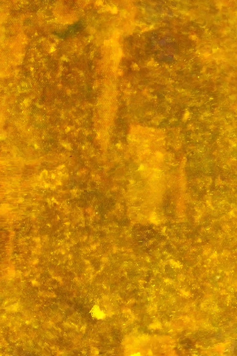 Or / Or (Hawick) poster background