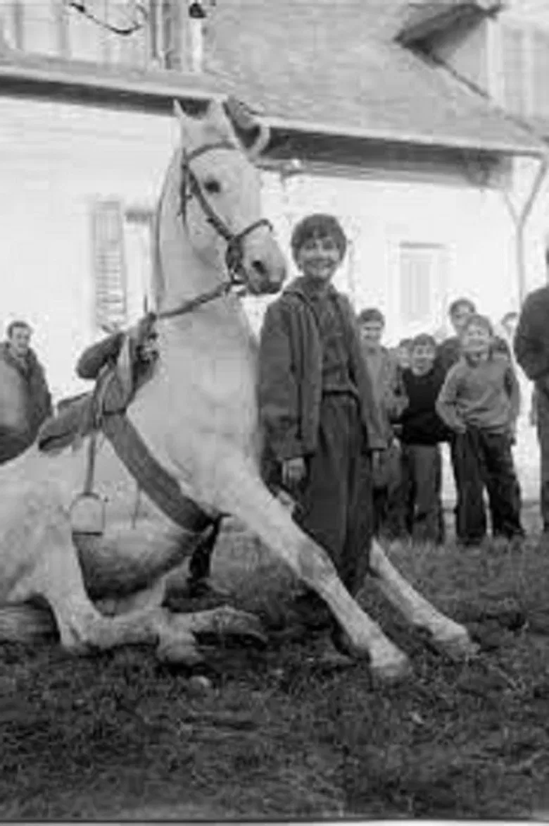 The Time of Horses poster background