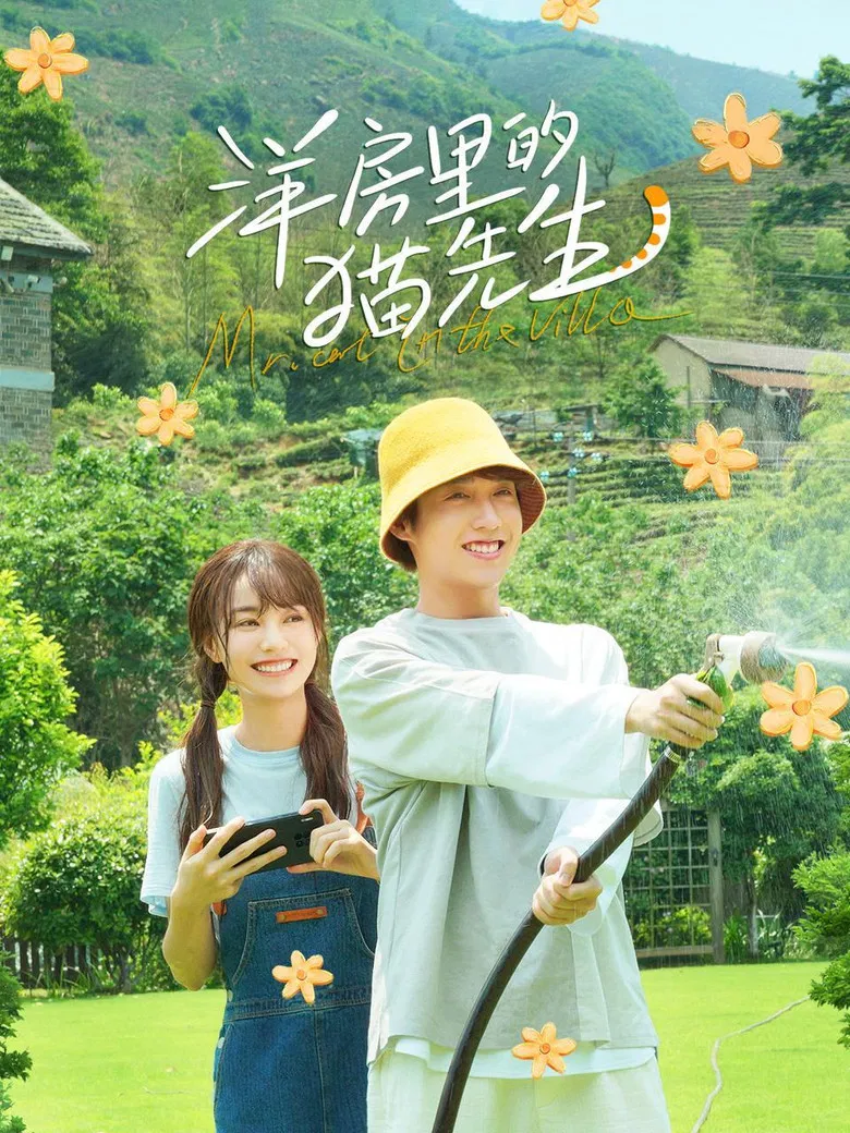 Mr. Cat in the Villa poster background